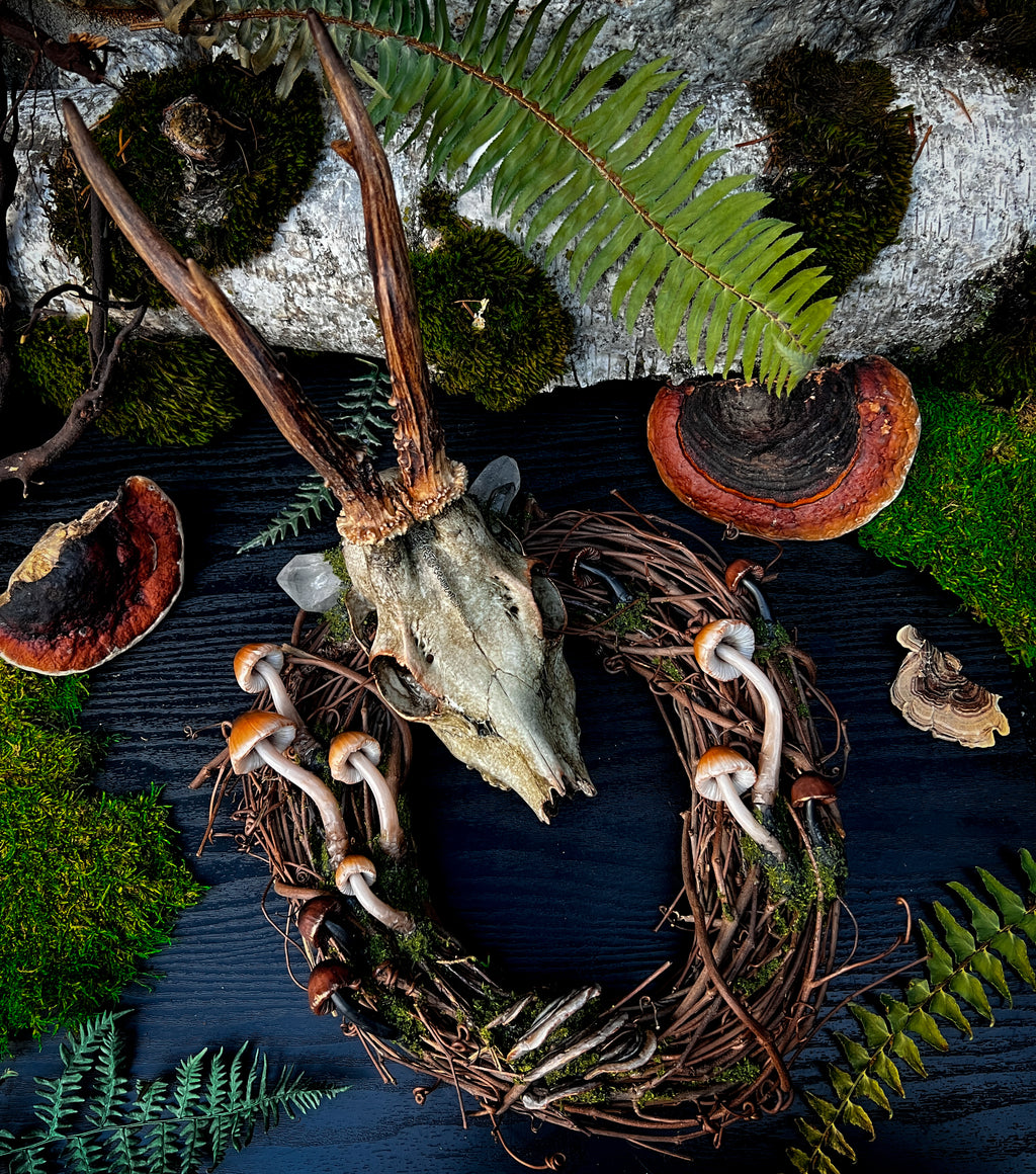 Roe Deer Skull Wreath