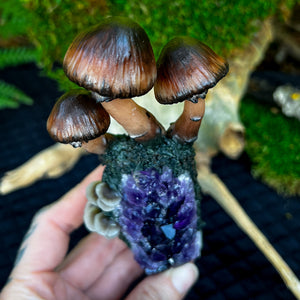 Mushroom Amethyst Display