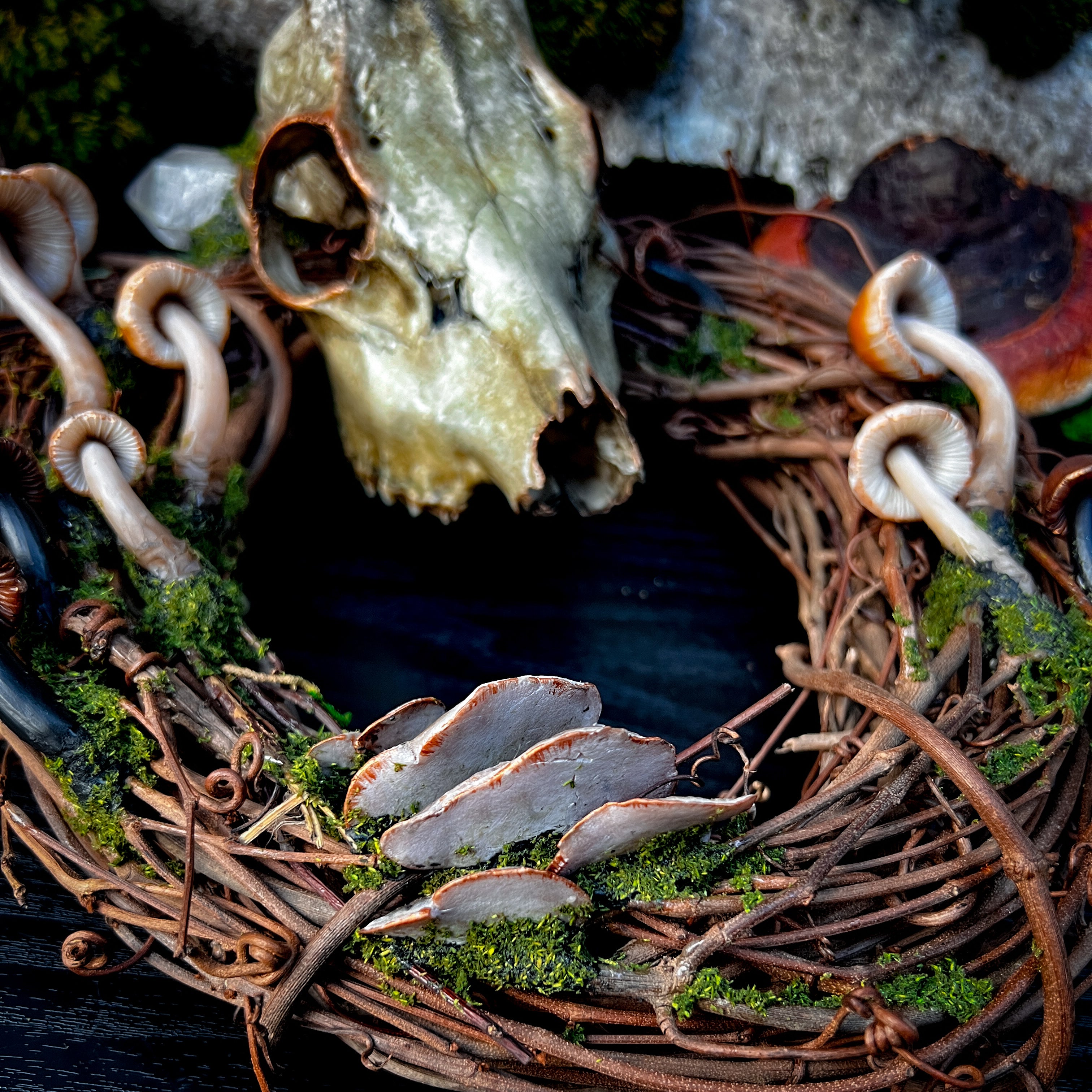 Roe Deer Skull Wreath