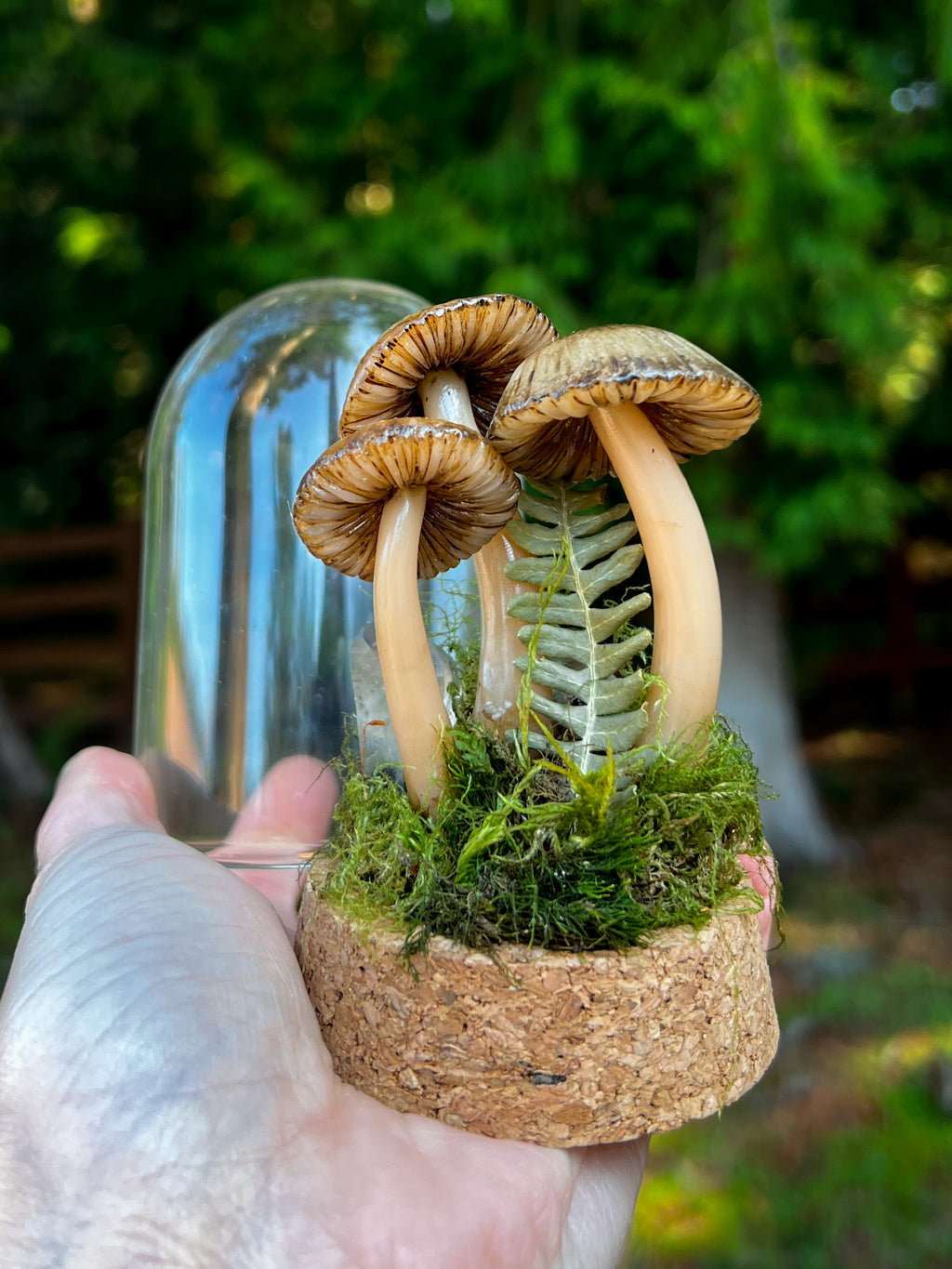 Mushroom Cloche