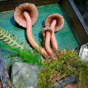 Mushroom & Moss Wallhanging